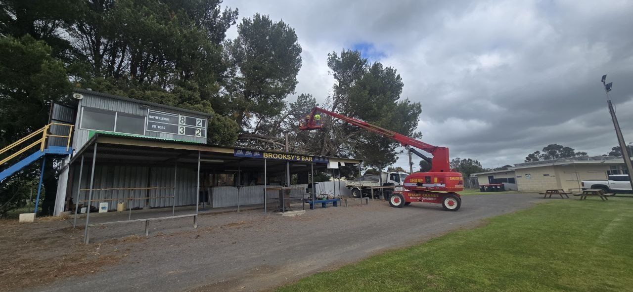 Making the grounds safe: the 2025 tree clean-up — photo 1
