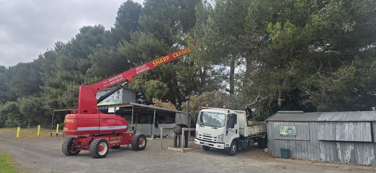 Making the grounds safe: the 2025 tree clean-up — photo 3