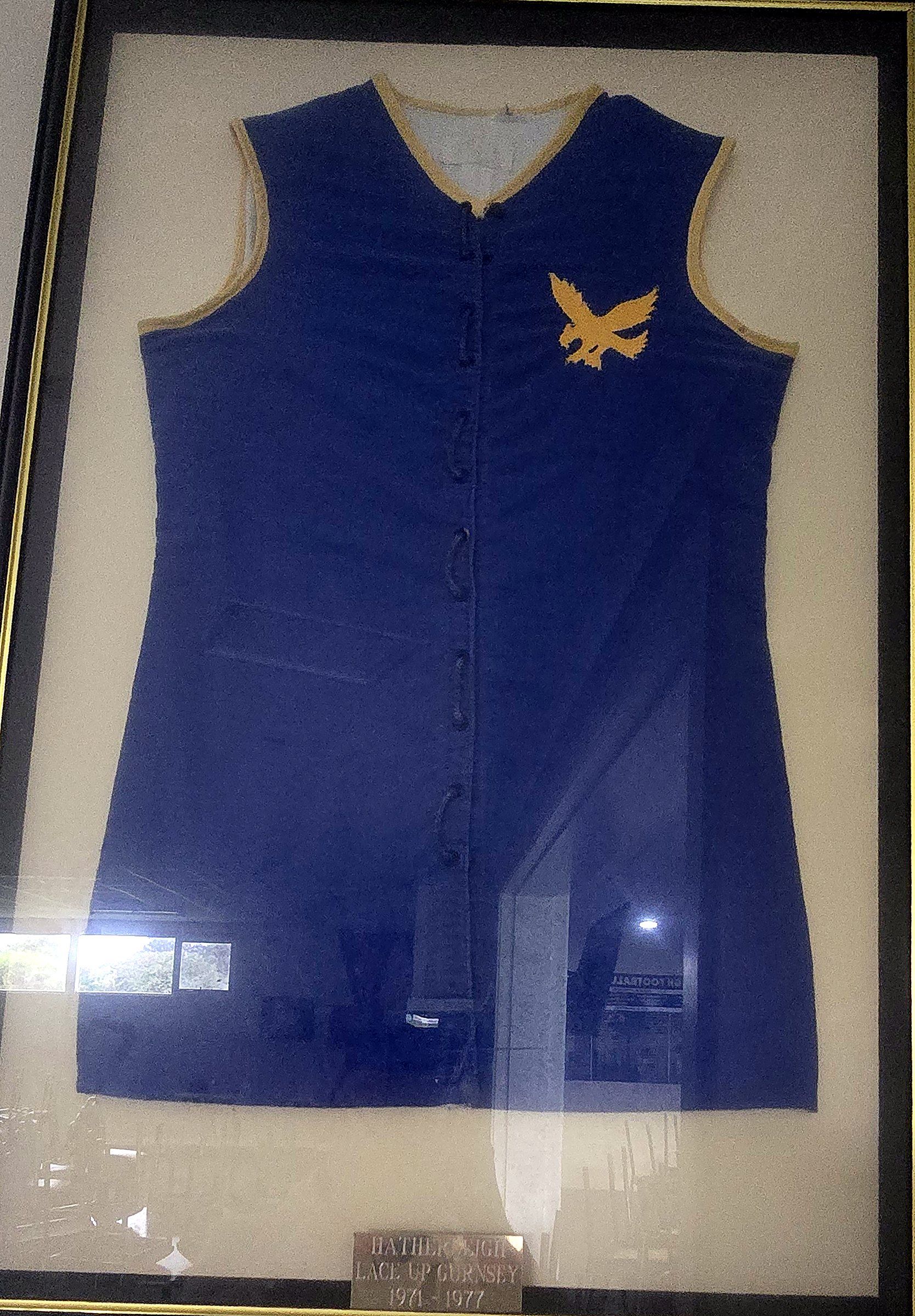 Hatherleigh lace-up guernsey, 1971–1977: the navy guernsey with the gold eagle, framed in the clubrooms