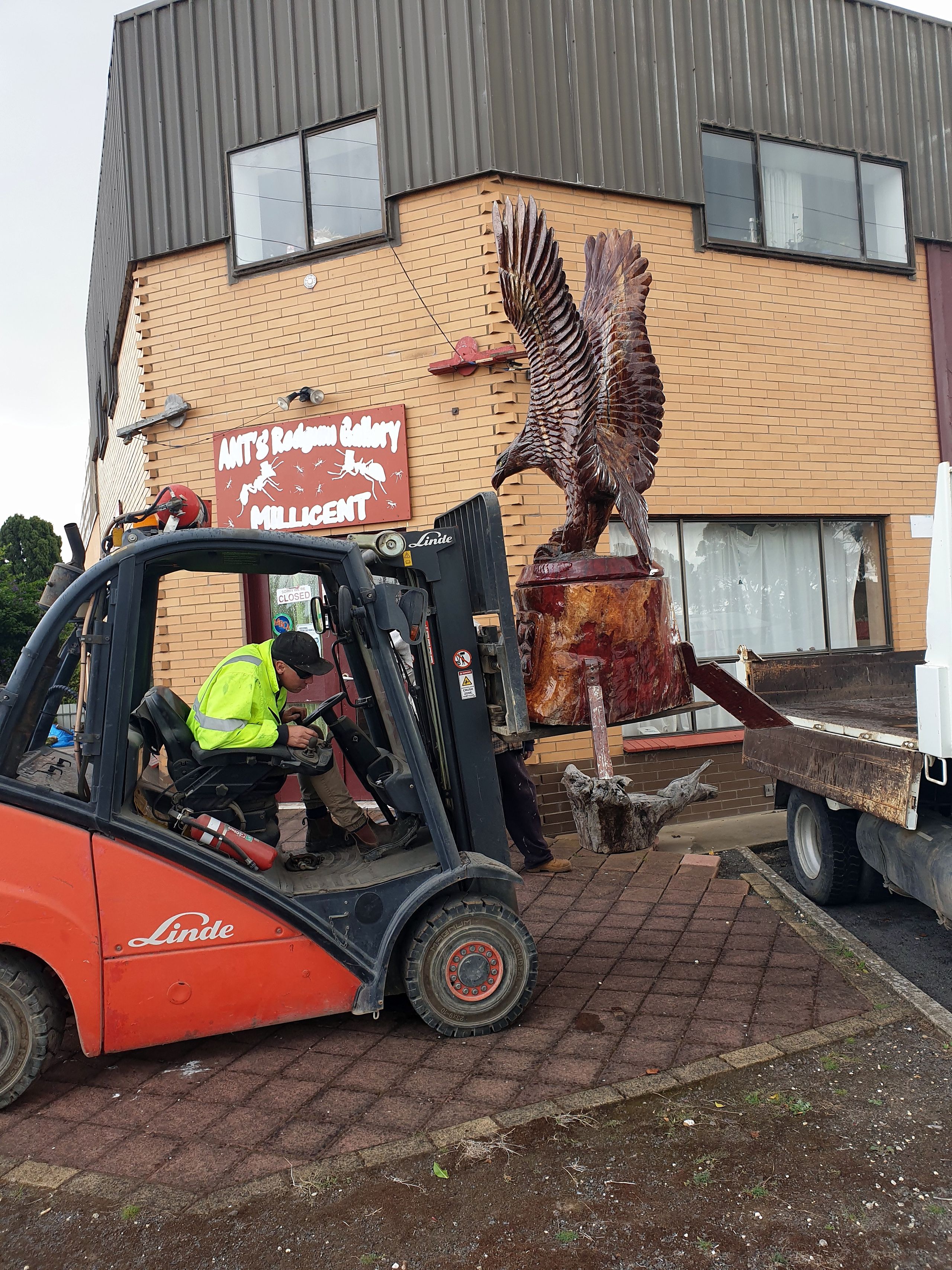 Half a tonne of red gum: how the Eagle landed at Hatherleigh — photo 1